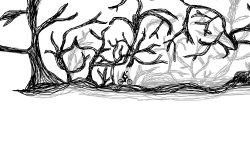 Twisted Thicket