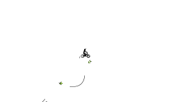 Wheelie