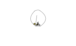 Spinny Roundy