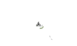 fast auto