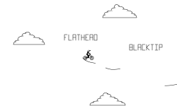 Collab Wheelie with Blacktip