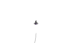 A track