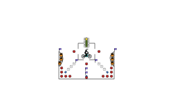 trick track