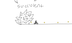 Cactus vs Succulent