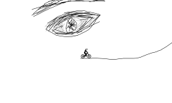 The EYE of the HARRY