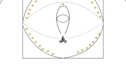 the eye