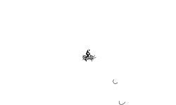 hold