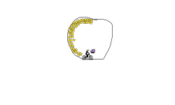 read description