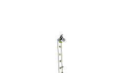 GRAVITY STUFF!!!!!!!!!!!!!!!!!