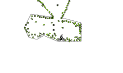 bouncy auto