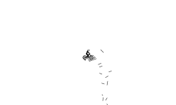 Quick Auto