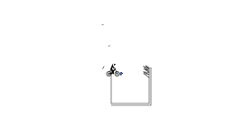 spiny random