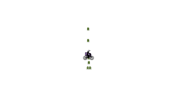 blob