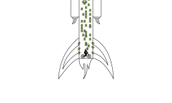 Space, Earth, Cave