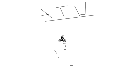 Auto race
