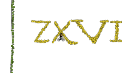 1000 stars